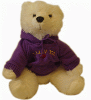 Funky Friends Polar Bear "Pal" with a Personalized Hoodie