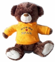 Funky Friends Teddy Bear "Paws" with a Personalized Hoodie