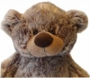 Top PAWS Teddy Bear - Frosty - Large 21 inch Teddy Bear with Hoodie